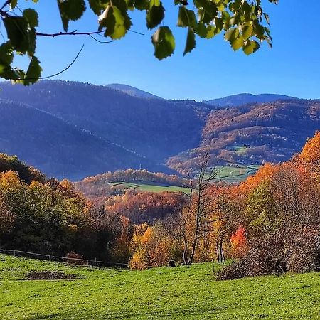 Gite A La Source Breitenbach المظهر الخارجي الصورة