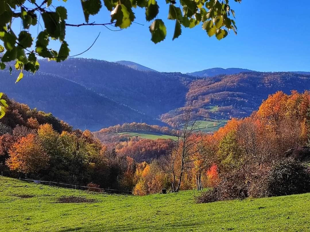 Gite A La Source Breitenbach المظهر الخارجي الصورة