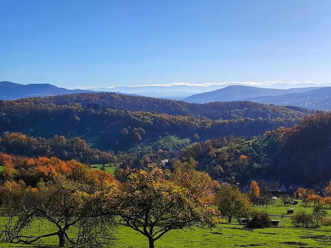 Gite A La Source Breitenbach المظهر الخارجي الصورة